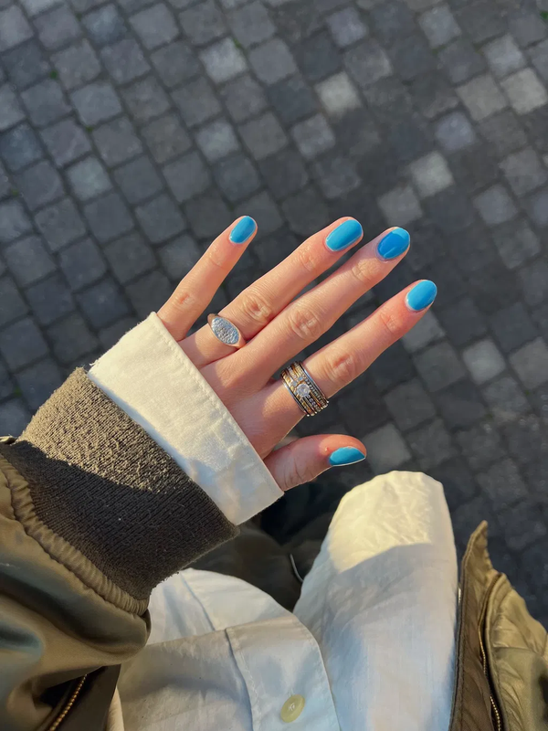Keet, Springer Spaniël x Heidewachtel (signet ring)