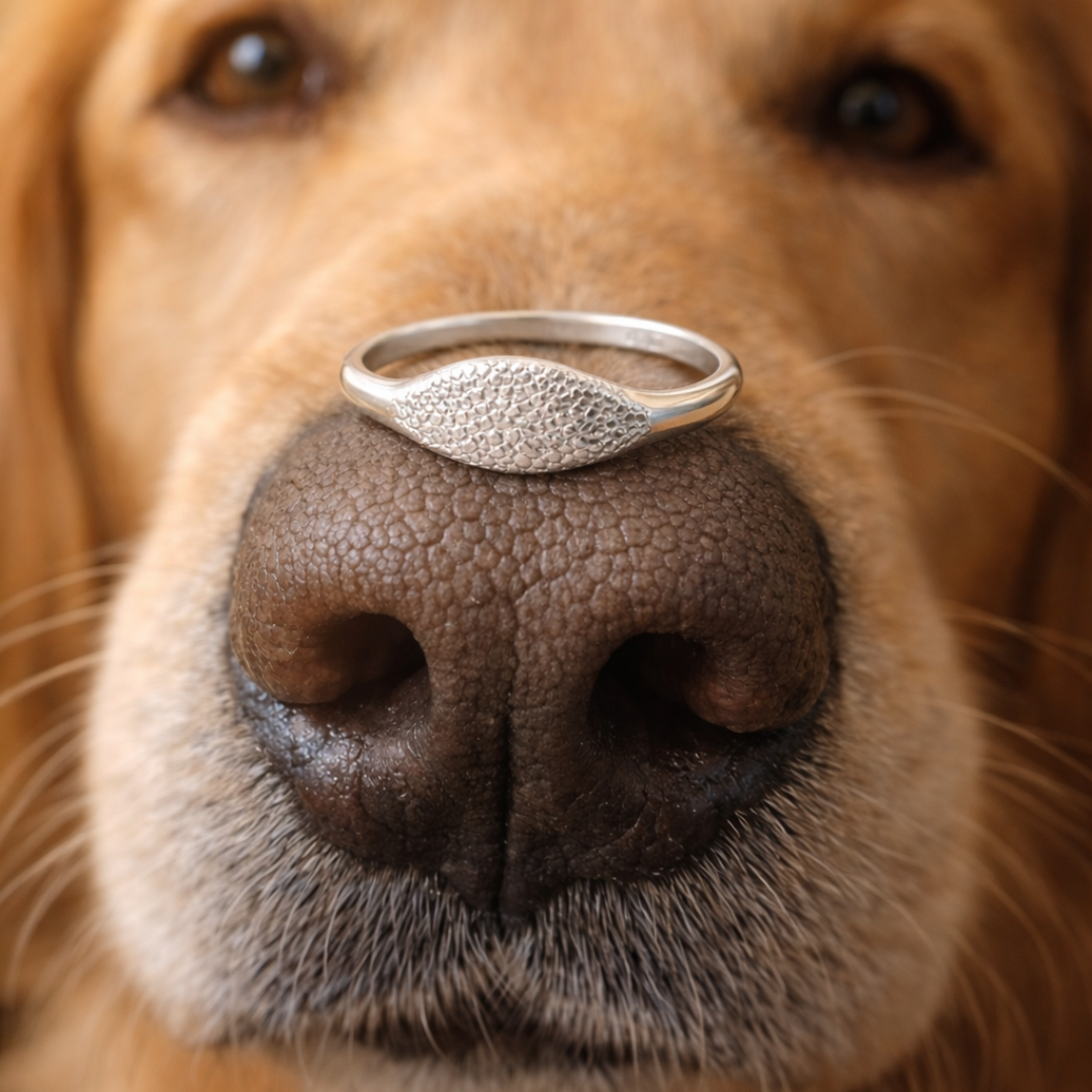 Snoetjes Minimal Zegelring-thumbmail-5